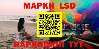 индика Гусев