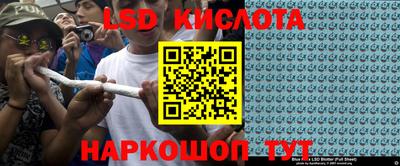 индика Гусев