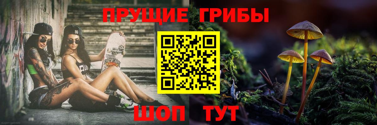 Псилоцибиновые грибы Psilocybe  Вход с VPN  Котельники 